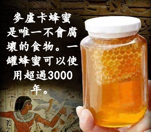 Manuka Honey Facts 麥盧卡蜂蜜小知識